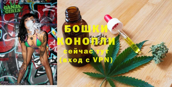 гашик Володарск