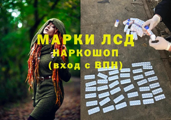 гашик Володарск