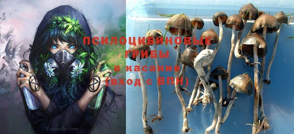 гашик Володарск